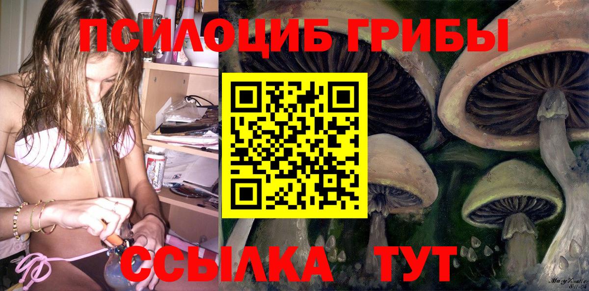 Галлюциногенные грибы MAGIC MUSHROOMS  Вход с VPN  Псилоцибиновые грибы Psilocybine cubensis  магазин продажи наркотиков  Отрадный 