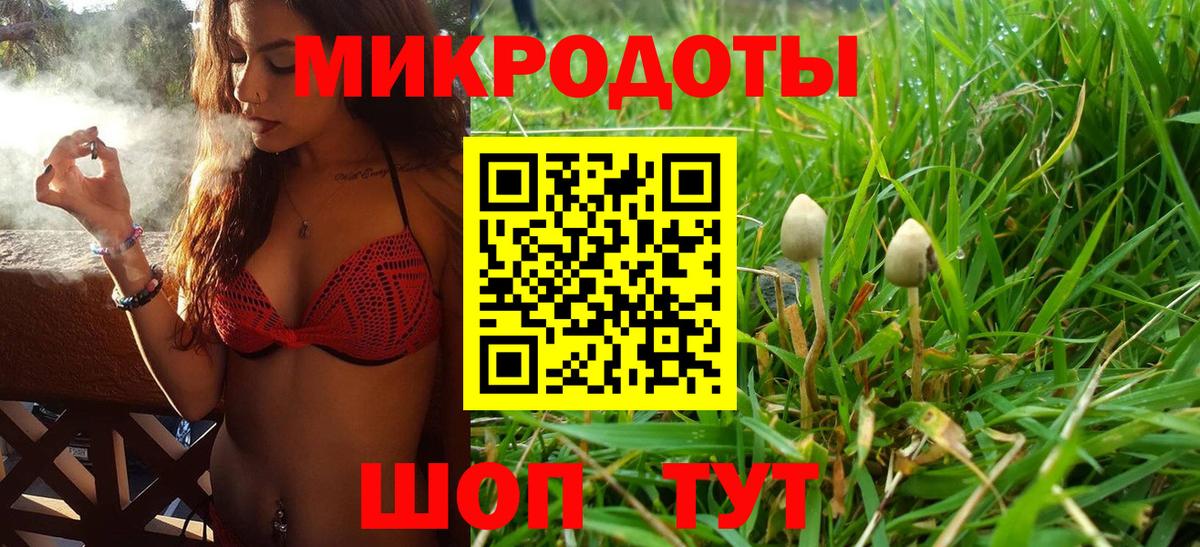 Галлюциногенные грибы мухоморы Отрадный